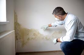 Best Biohazard Mold Removal  in Liberal, KS